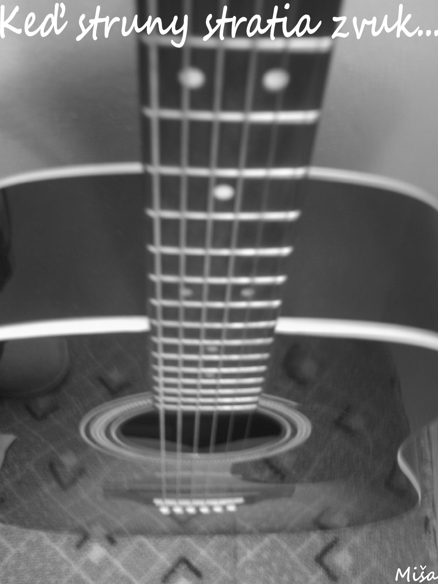 IMAG0442.JPG