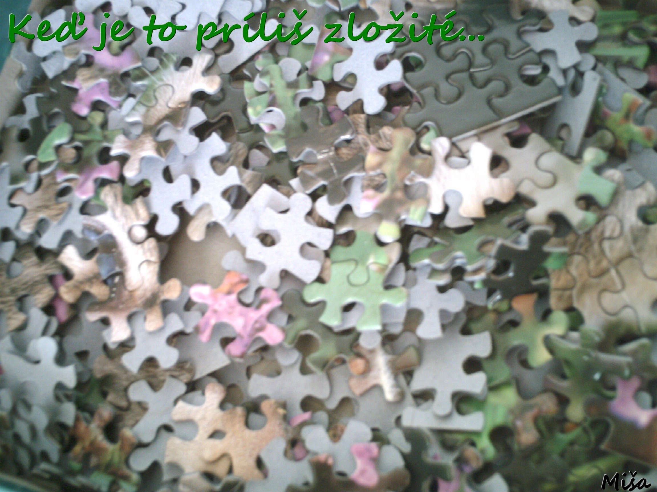 IMAG0444.JPG