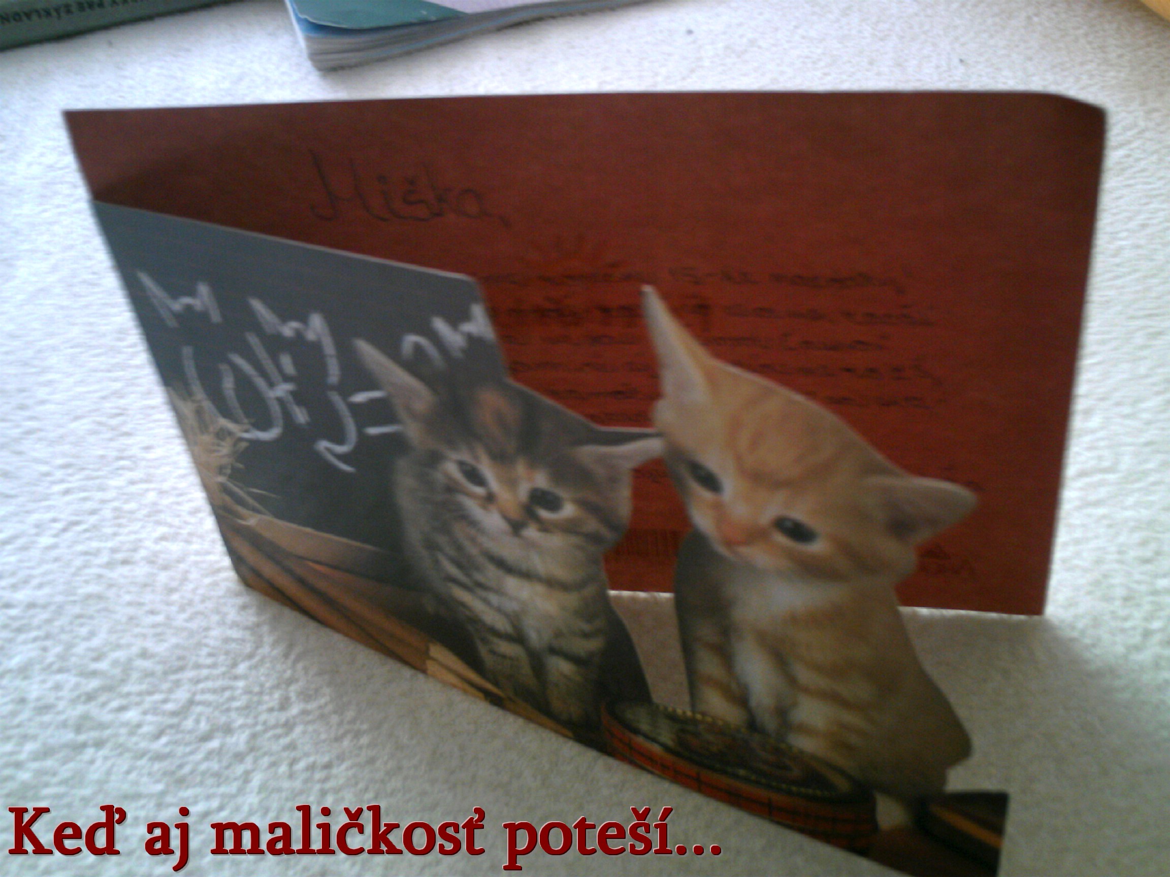 IMAG0448.JPG